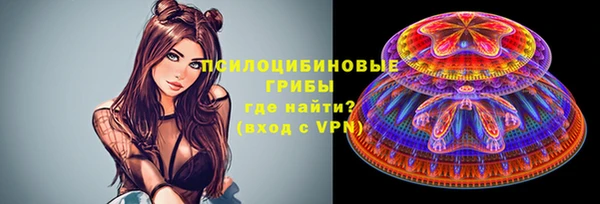 стаф Бугульма
