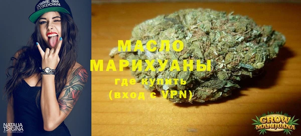 mdpv Бородино