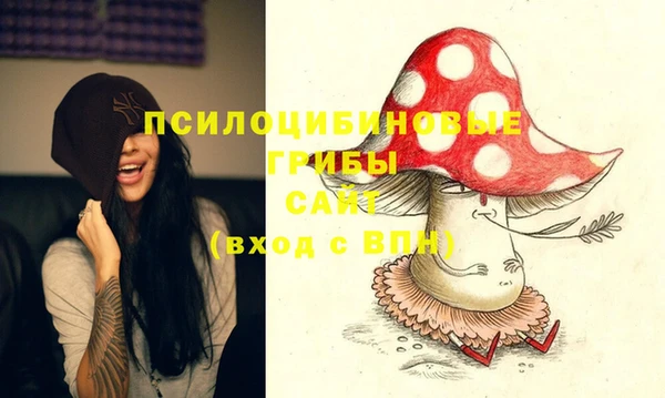 стаф Бугульма