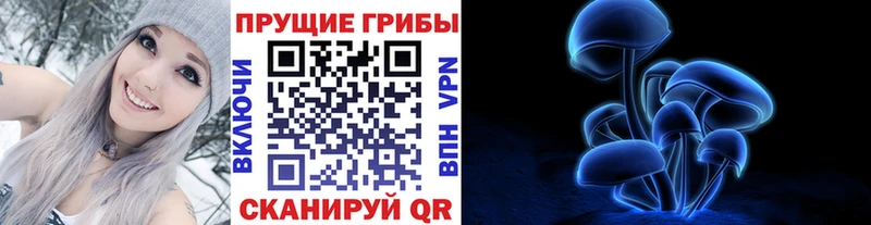 Псилоцибиновые грибы GOLDEN TEACHER  цены   Данилов 